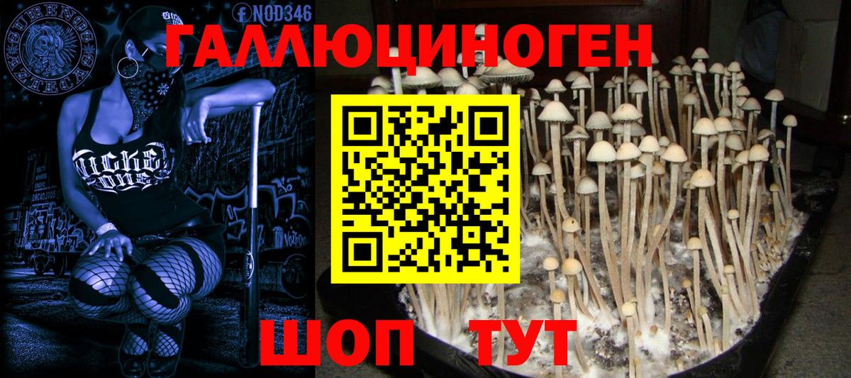 Галлюциногенные грибы GOLDEN TEACHER Ирбит